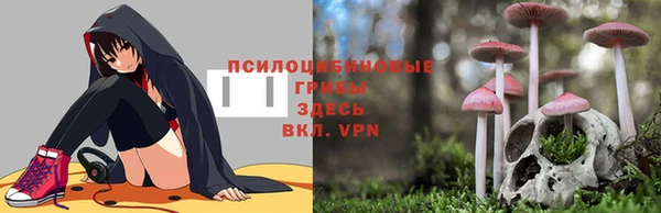 а пвп мука Алексеевка